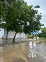 In middle of KLJ society