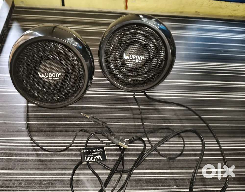 Pc speaker.