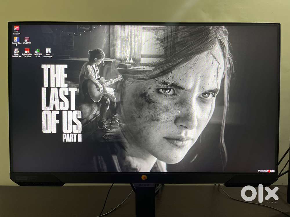 Samsung 25 Inch gaming Monitor (240 hz)