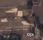 Agriculture land 2 bigha( 10 kotha)