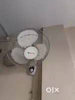 Bajaj Wall Fan