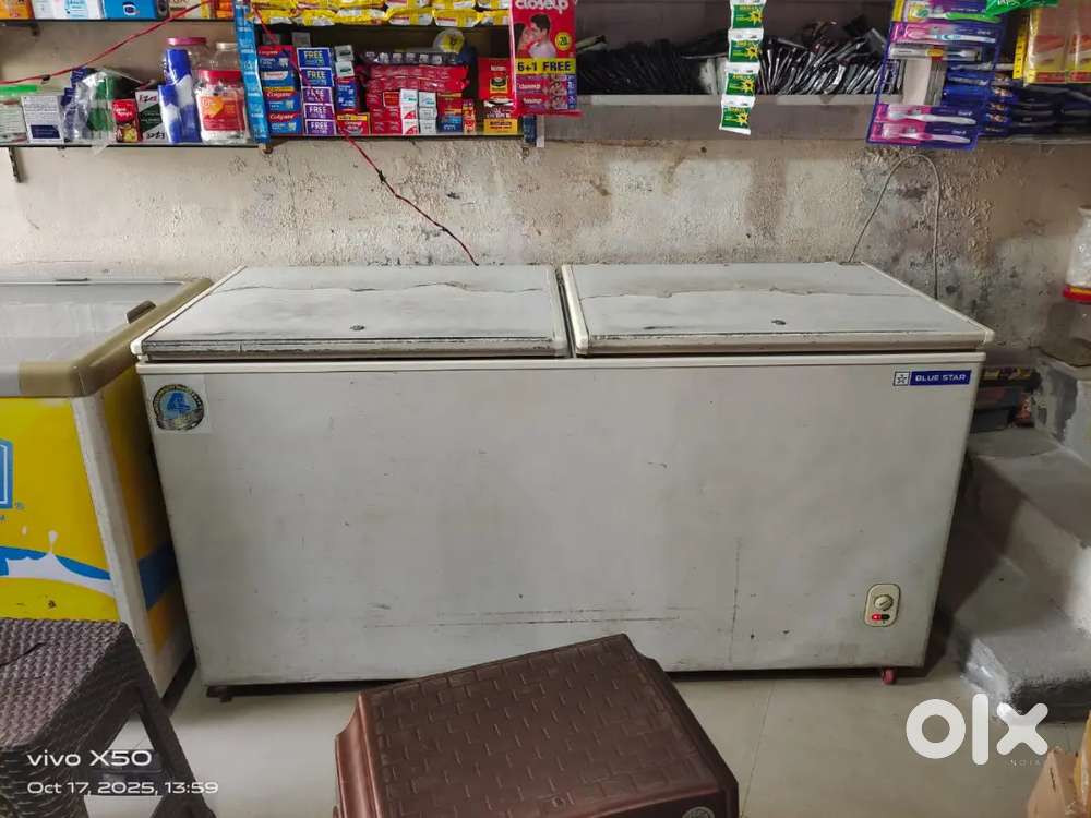 Blue star 500 L D- Fridge