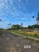 RESIDENTIAL LAND FOR SALE IN KAKKANAD THUTHIYOOR
