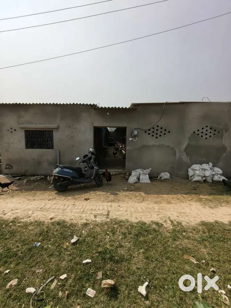 Suited for Goat Farm