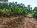 Kothamangalam Adivad route 48 cent