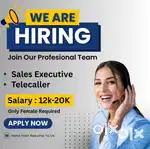 REAL ESTATE TELECALLER
