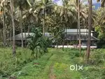 Dairy farm, for lease