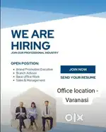 Office staff