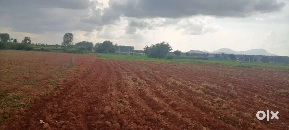 AAIMAN Properties