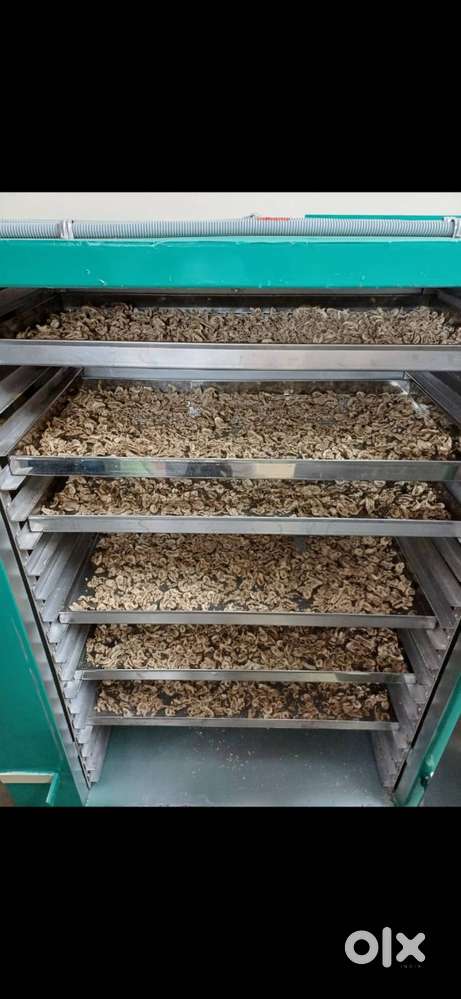 Vegetable dehydrator of 20 trays, slicer. Pulverizer