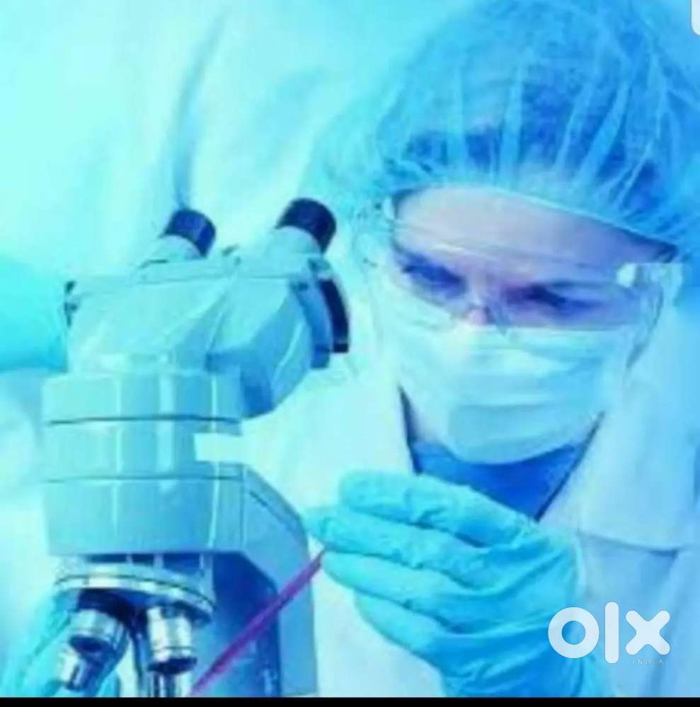 we are hiring and washing on percentage level