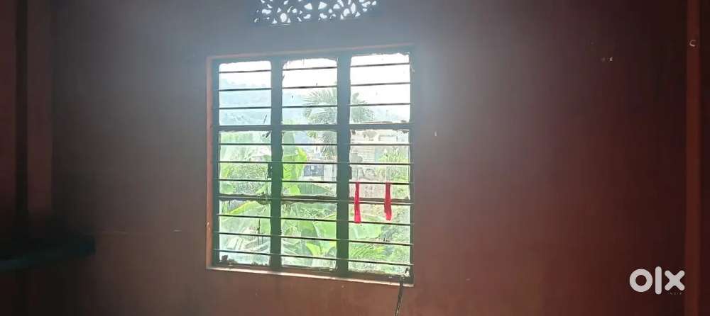 For rent available independent single room