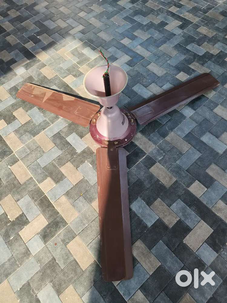 Luminous Branded FAN - Full Power Hawa Aur Light Saver