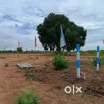 Open site for sale Rajamundry