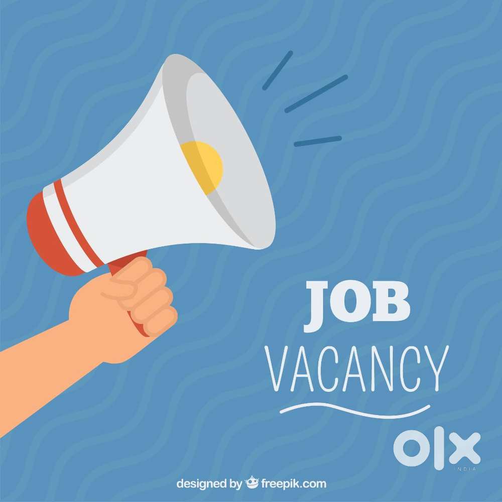 Digital Marketing & IT Hardware Sourcing and Sales Coordinator