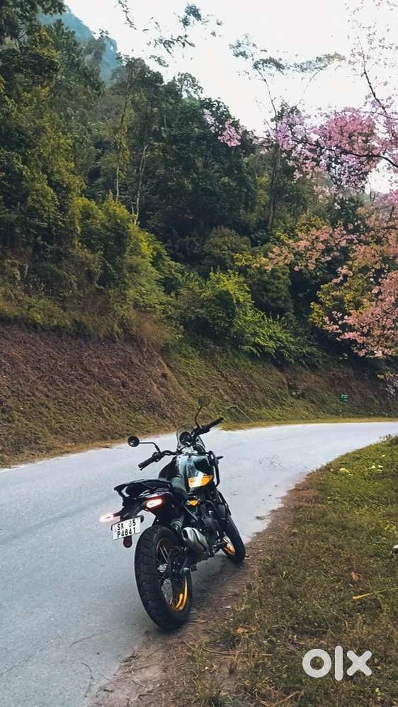 Himalyan 450 Henly Black top model tube tyre
