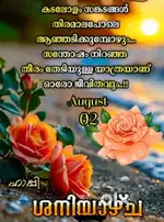 ഡ്രൈ ക്ലീനിങ് ഷോപ്പ് അയേൺ തുണി തെക്കാൻ