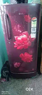 LG friedge