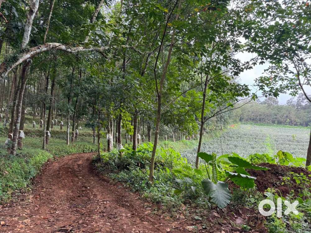 Housing Plots For Sale