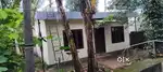 5സെന്റ്‌ പുലികൊട്ടുപാടി കു സമിപം  thrickodithanam