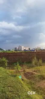 Litigation free land