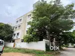 3 BHK flat for rent in miyapur