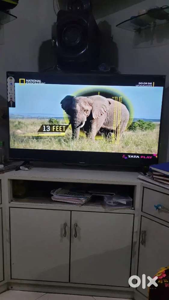 Television