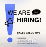 Sales officer (Bajaj Finserv)
