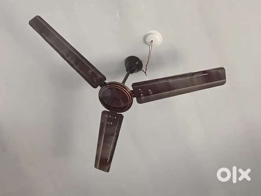 Ceiling fan Working Perfectly