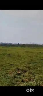 Comercial/ Recidencial plot for sale at Puri