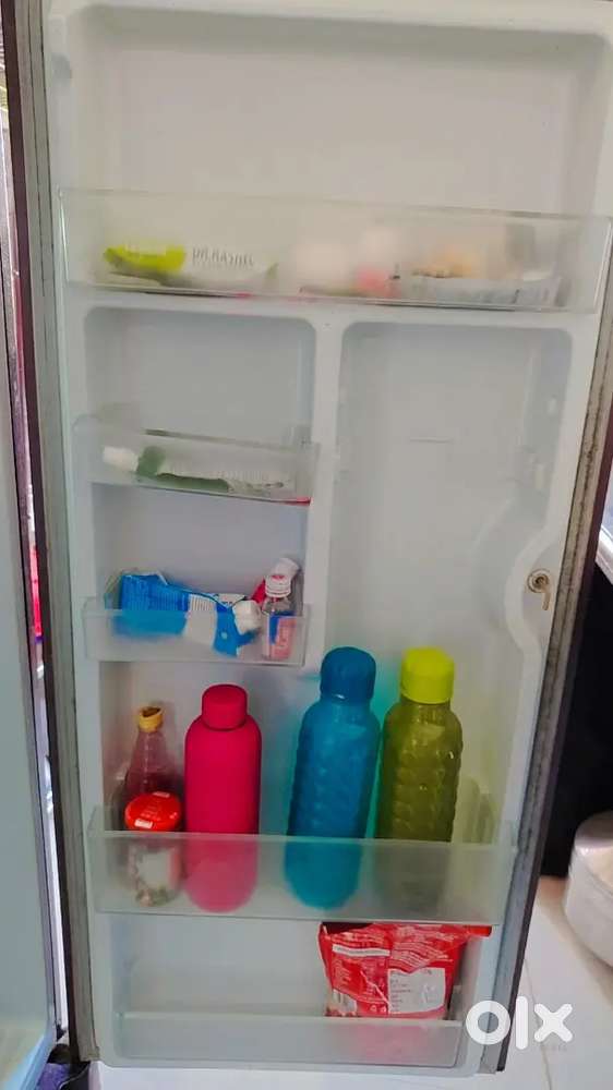 Cell fridge electronic