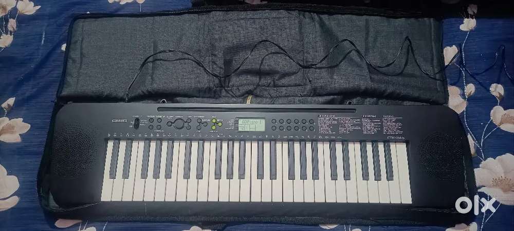 Casio ctk 245