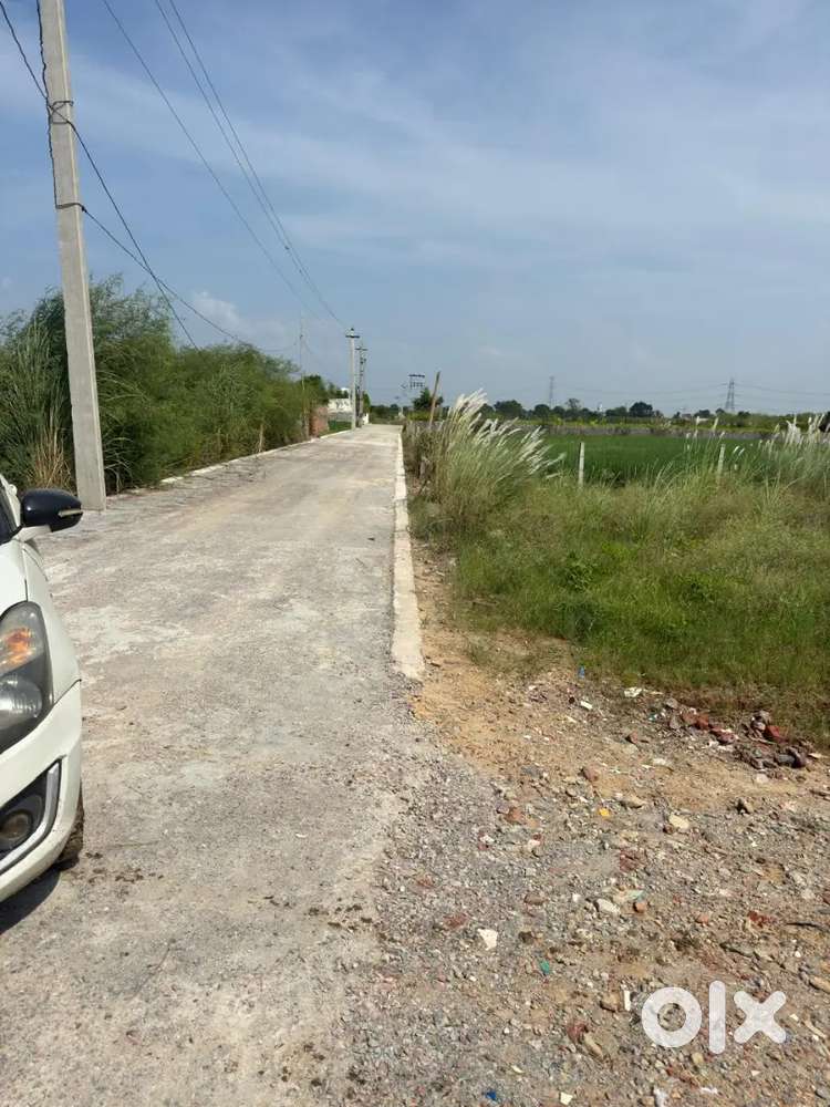 बड़सा एम्स के पास रेजिडेंशियल प्लॉट अवेलेबल है