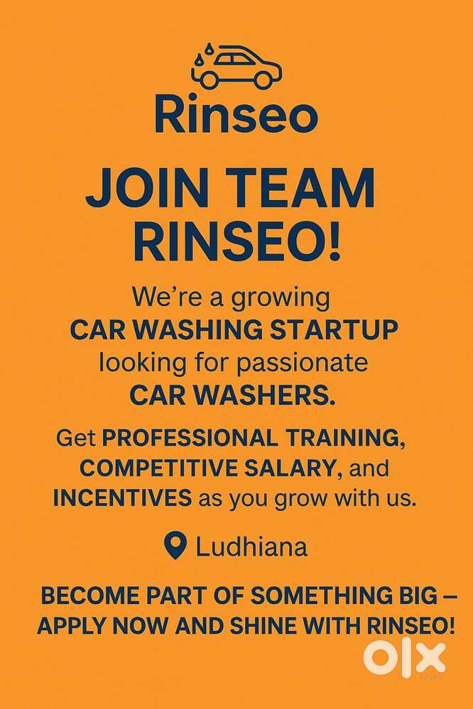 Looking for car washers