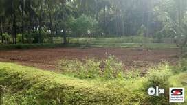1 Acre farmland for sale at Kozhinjampara,Palakkad