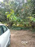 530sq yard , plot in bhoddam