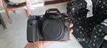 Cenon 80d cemara