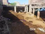 Dairy farm