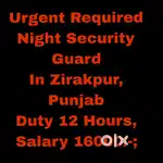 Night Security Guards Job Zirakpur Punjab