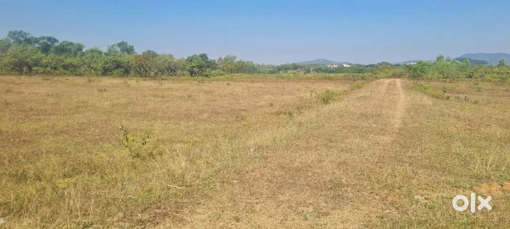 5 acer land with gharabari for sale near haridaput chowk, jeypore