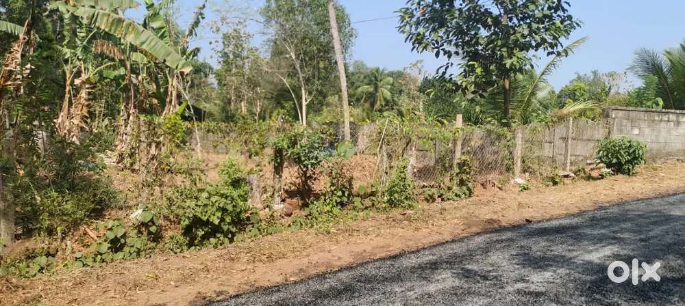 Thrissur medical college plot