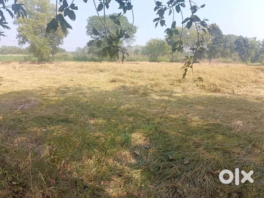 total 35 dismil agriculture plot