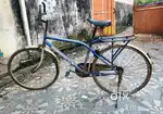 Stylish cycle