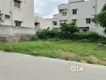 Open land for sale in balapur sitha avanue colony