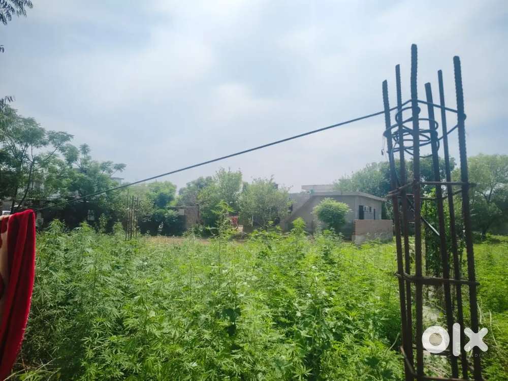 Plot for sale