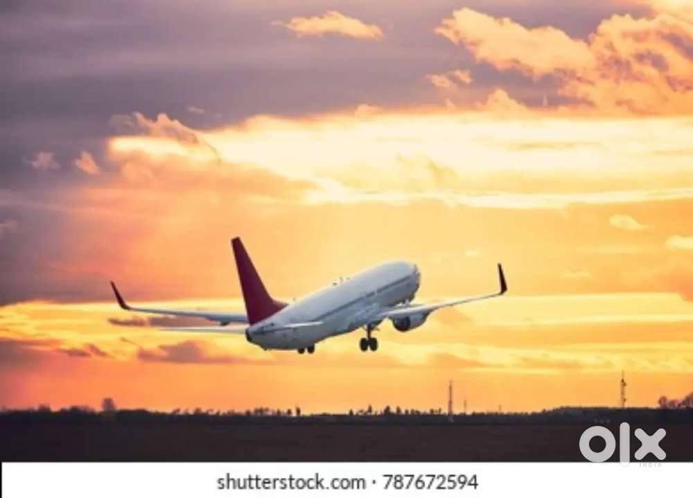 Ground Staff jobs in indigo Airlines urgent