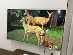 50 Inches Android Led Tv Exchange Offer Available