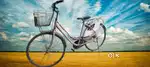 Ledy Bird cycle