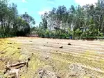 Stunning property