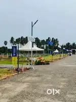 Low budget land for sale in (POLLACHI NALLAMPALLI )